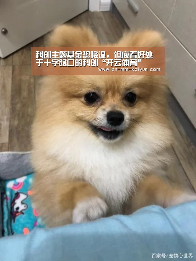 科创主题基金恐降温,但应看好处于十字路口的科创“开云体育”(图1) 开云体育下载